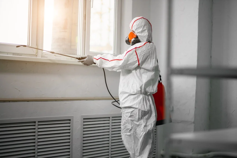 Professional mold remediation services in Thomaston, CT